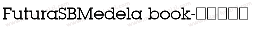 FuturaSBMedela book字体转换